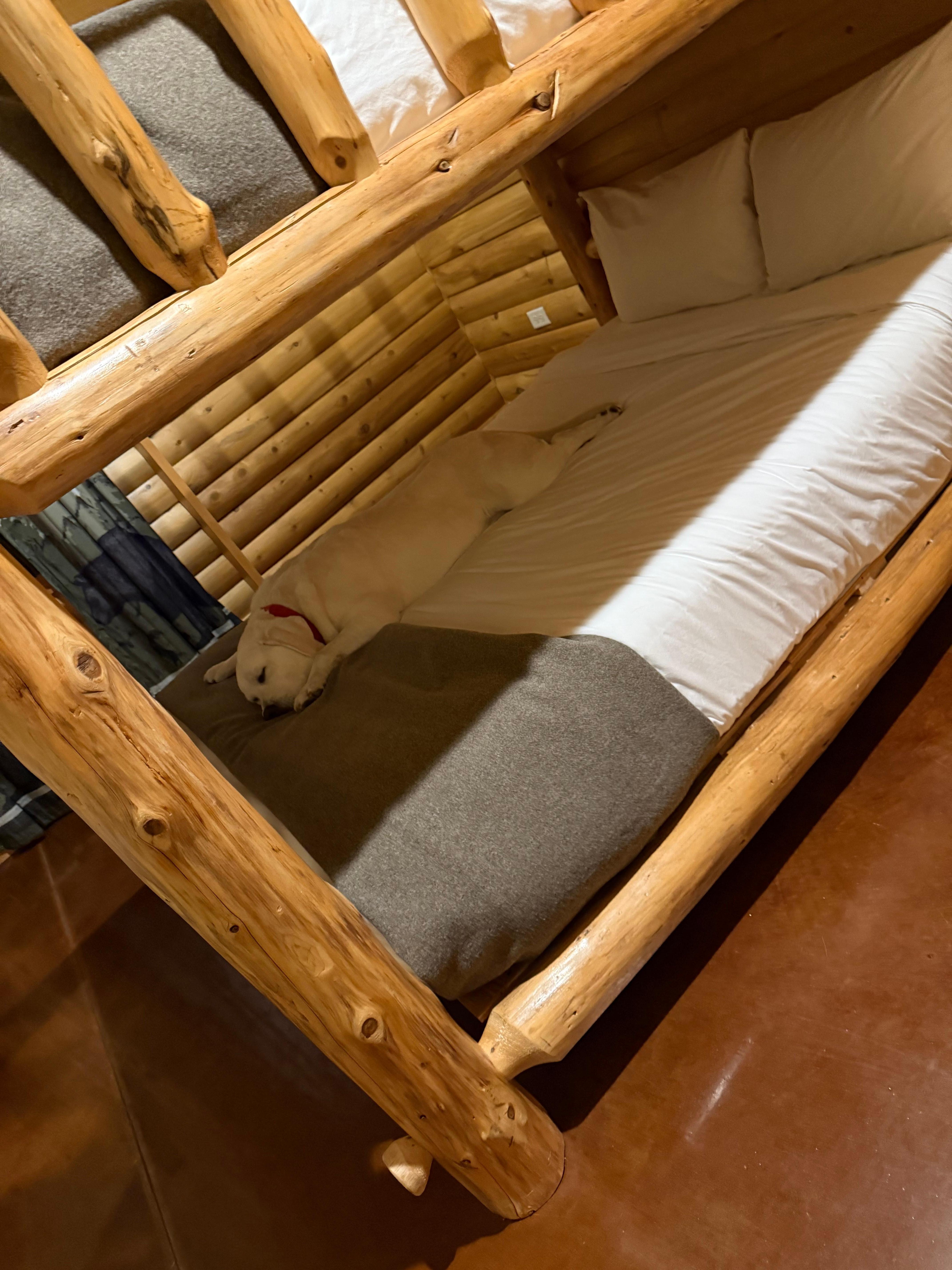 I think he had a great day put himself to bed. 