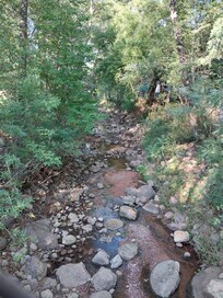 The creek behind the property