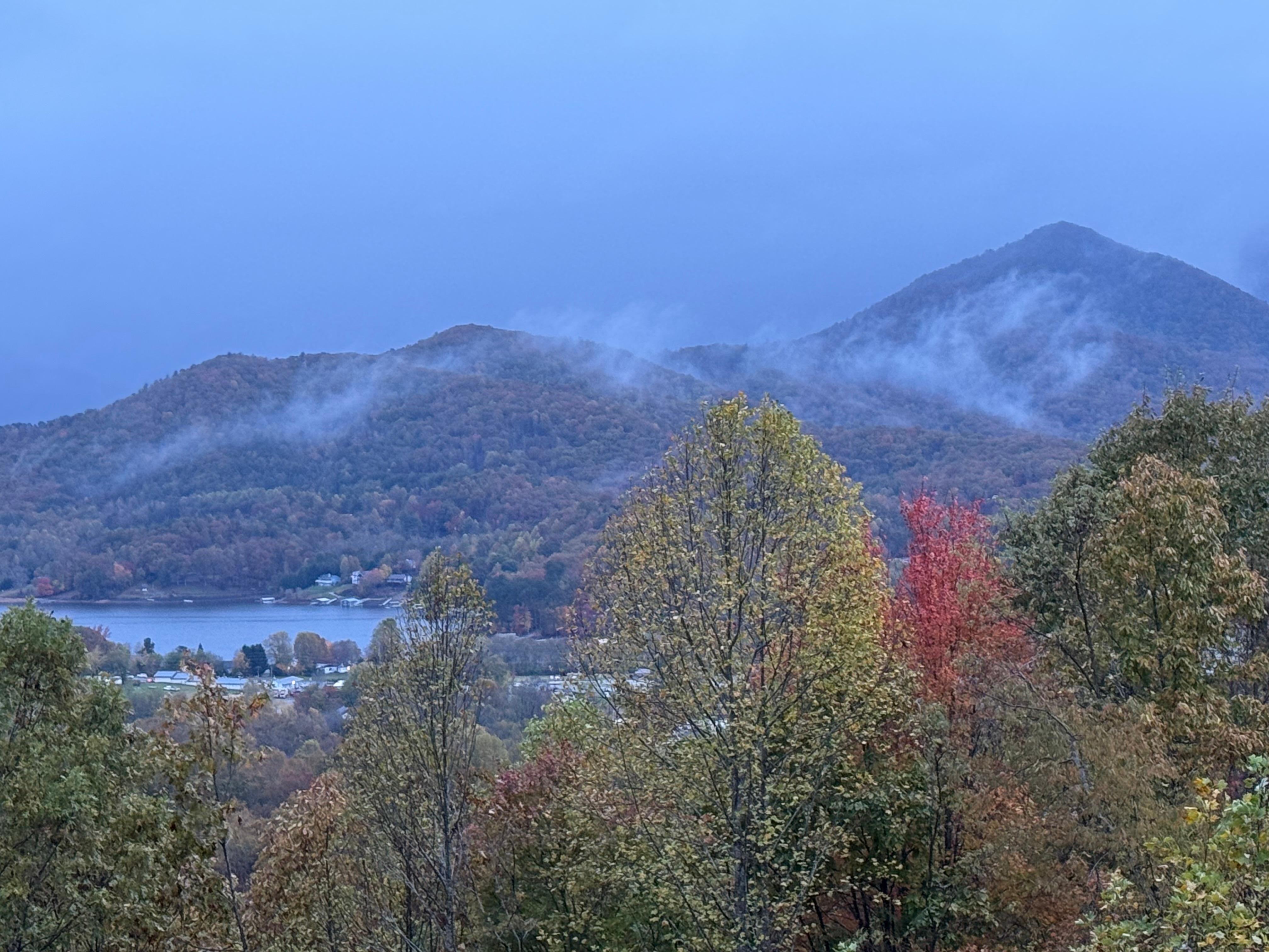 Early morning of last day of stay looking from deck