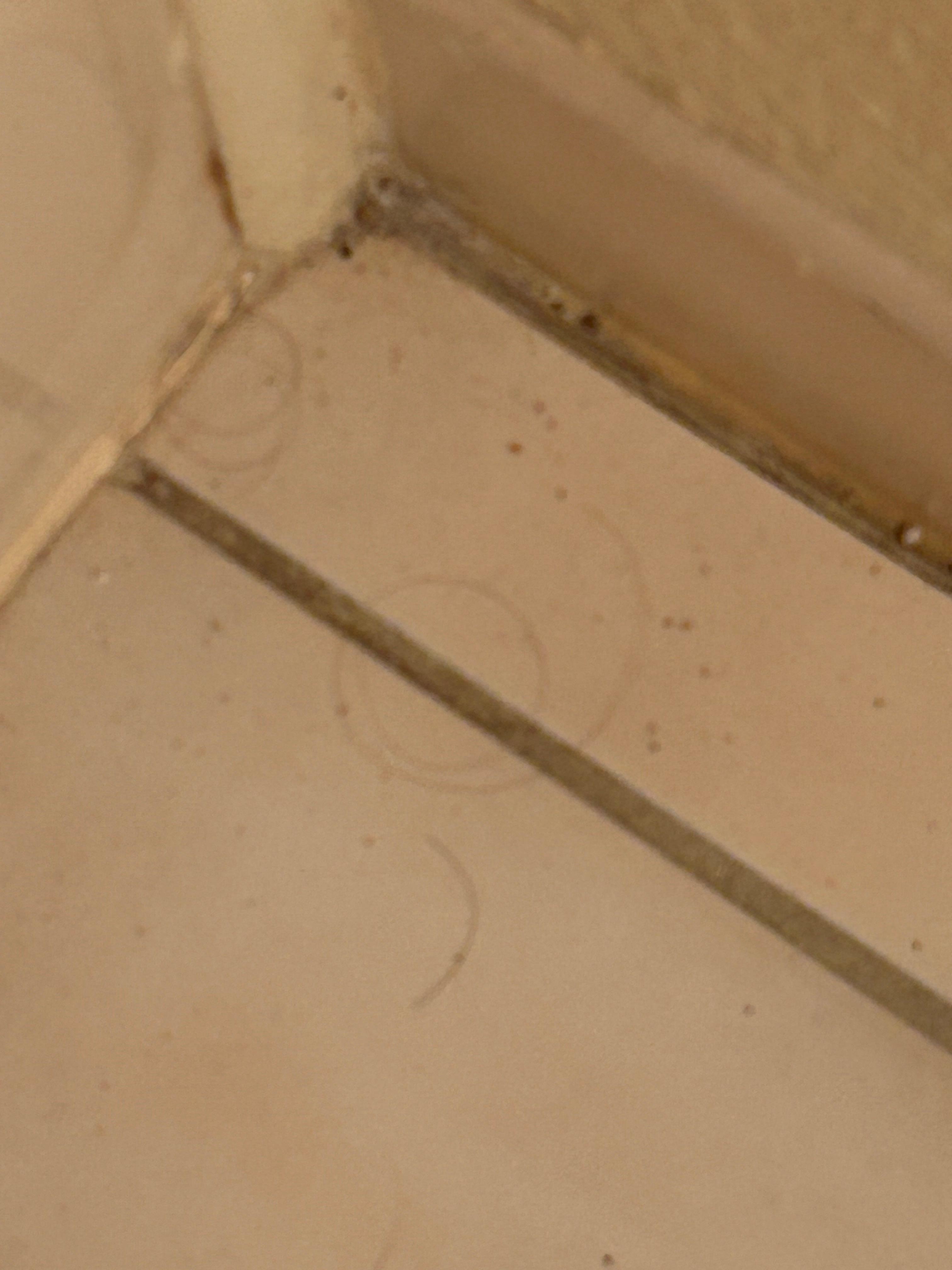 Hair and other debris on bathroom floor