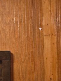 Hole plugged with toilet paper