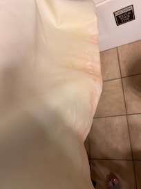 Pink mold on shower curtain