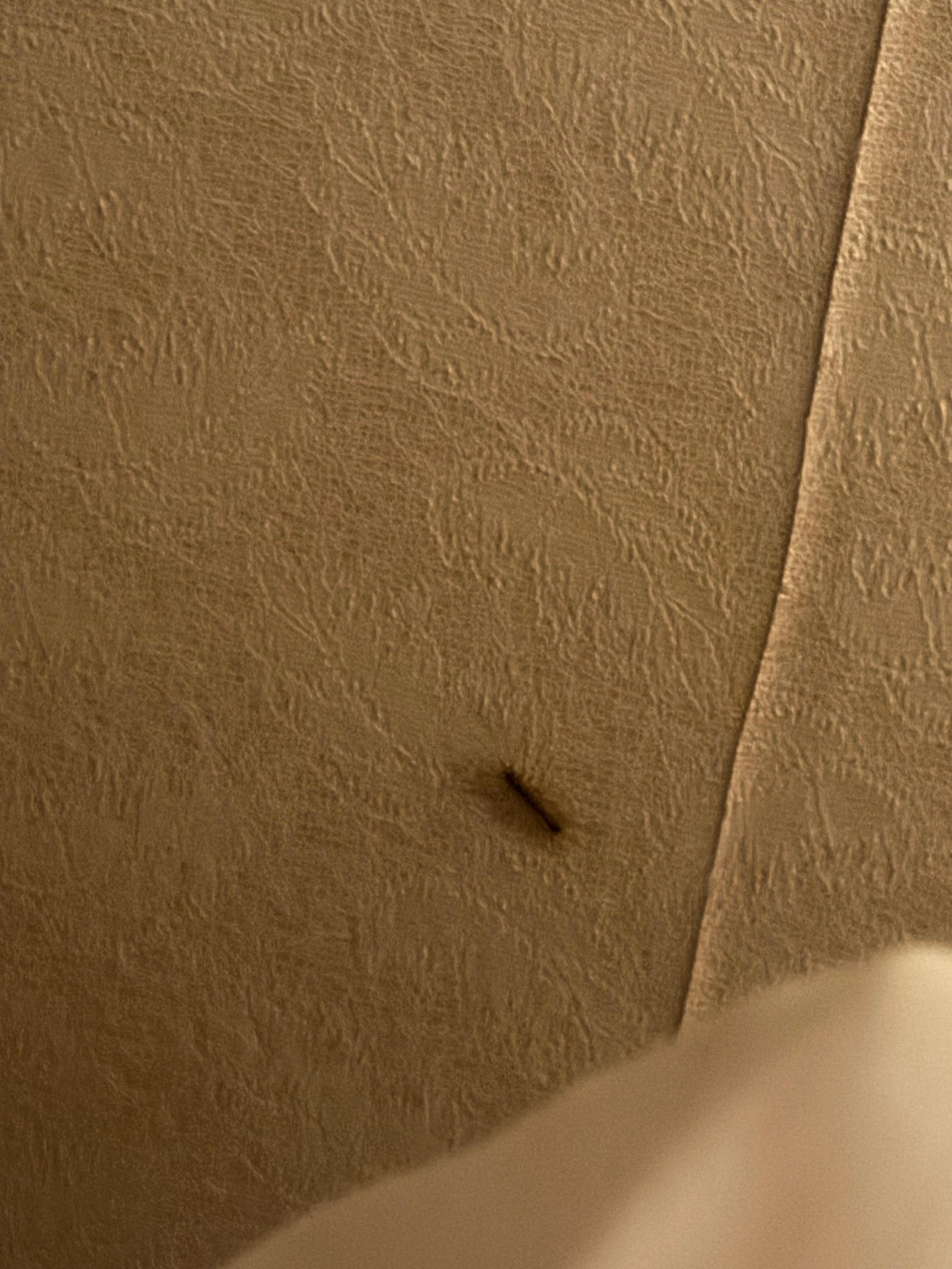 Bug No. 1