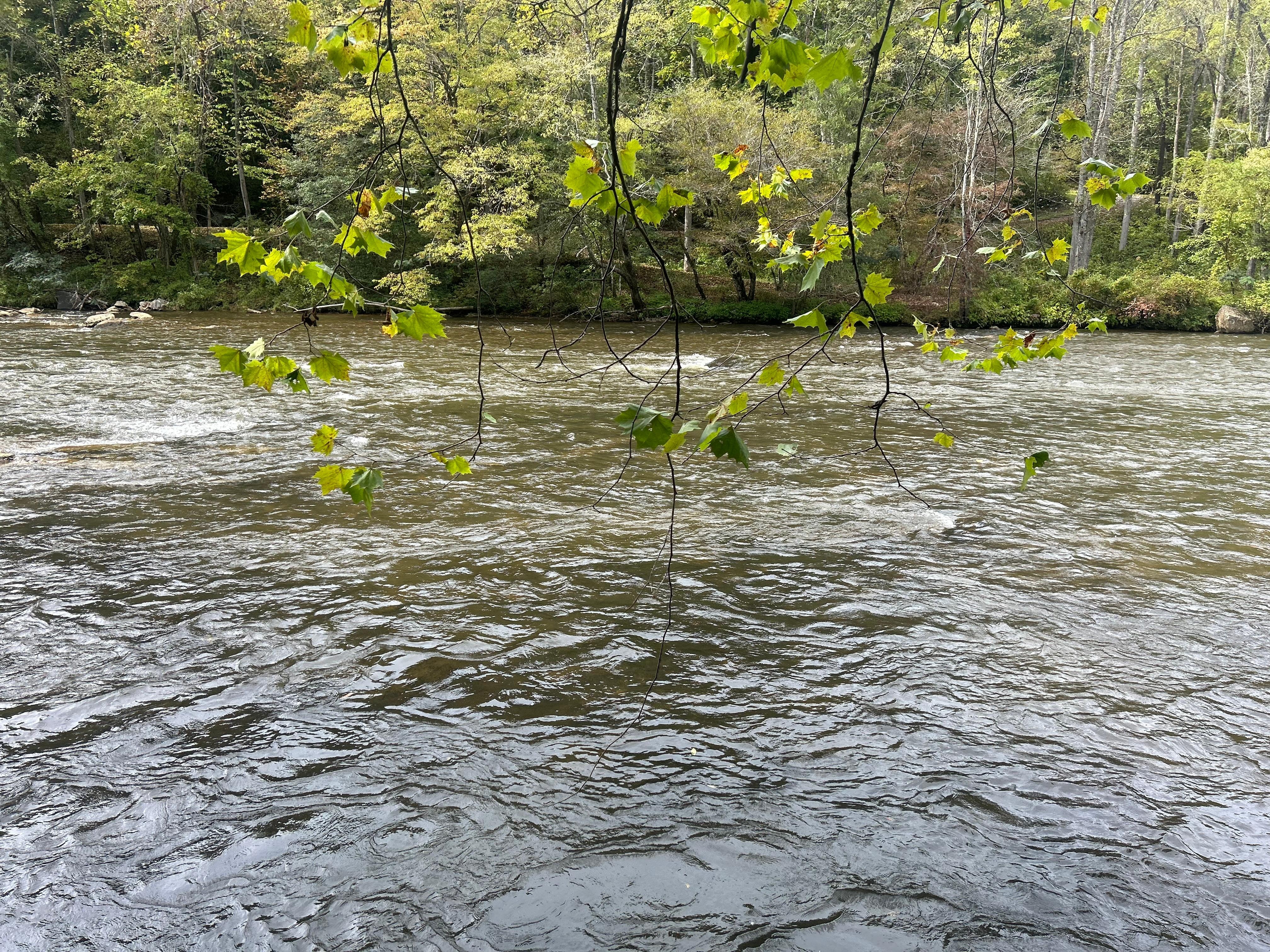 Looking forward from lower deck