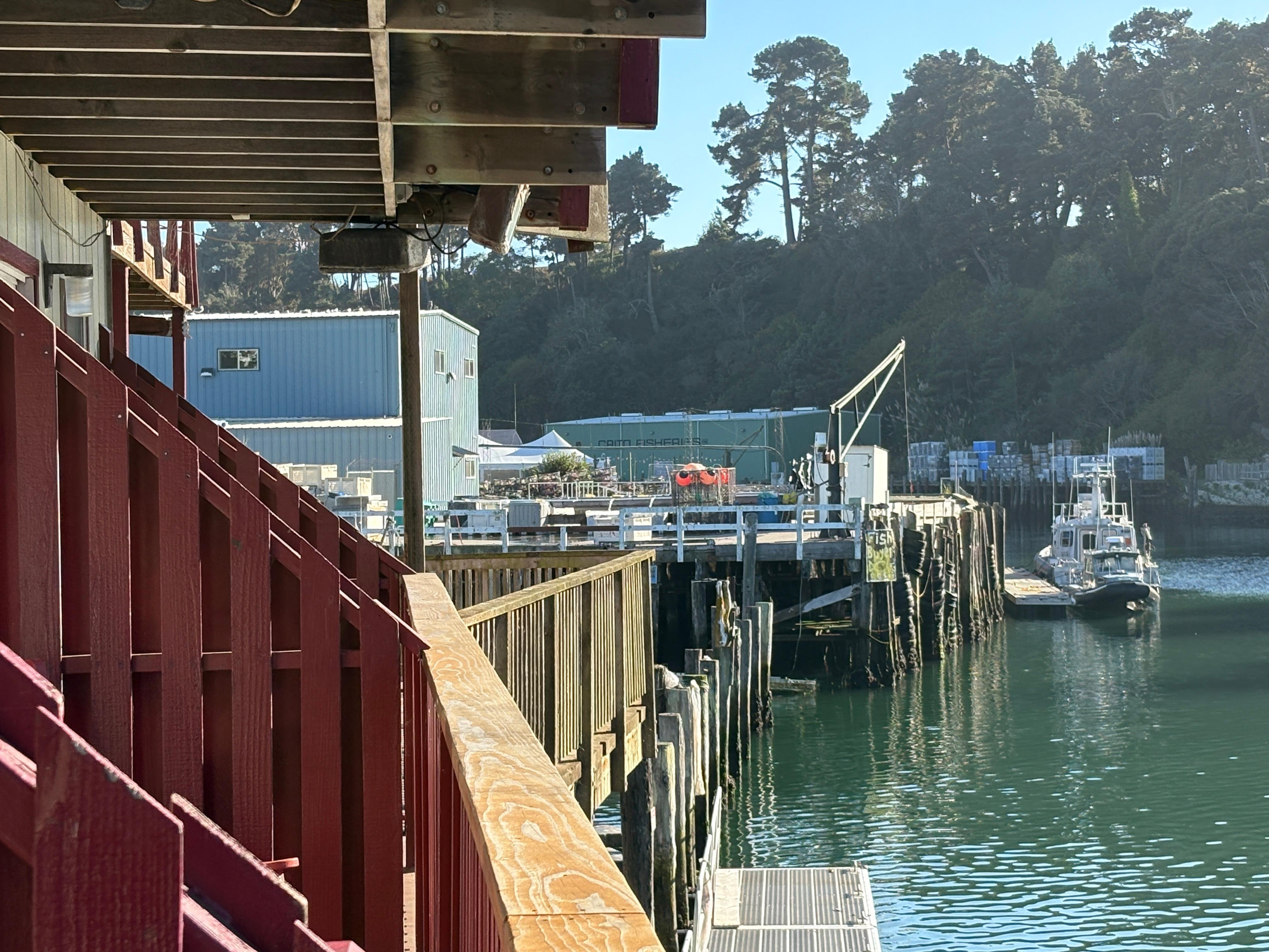 View one way from our deck