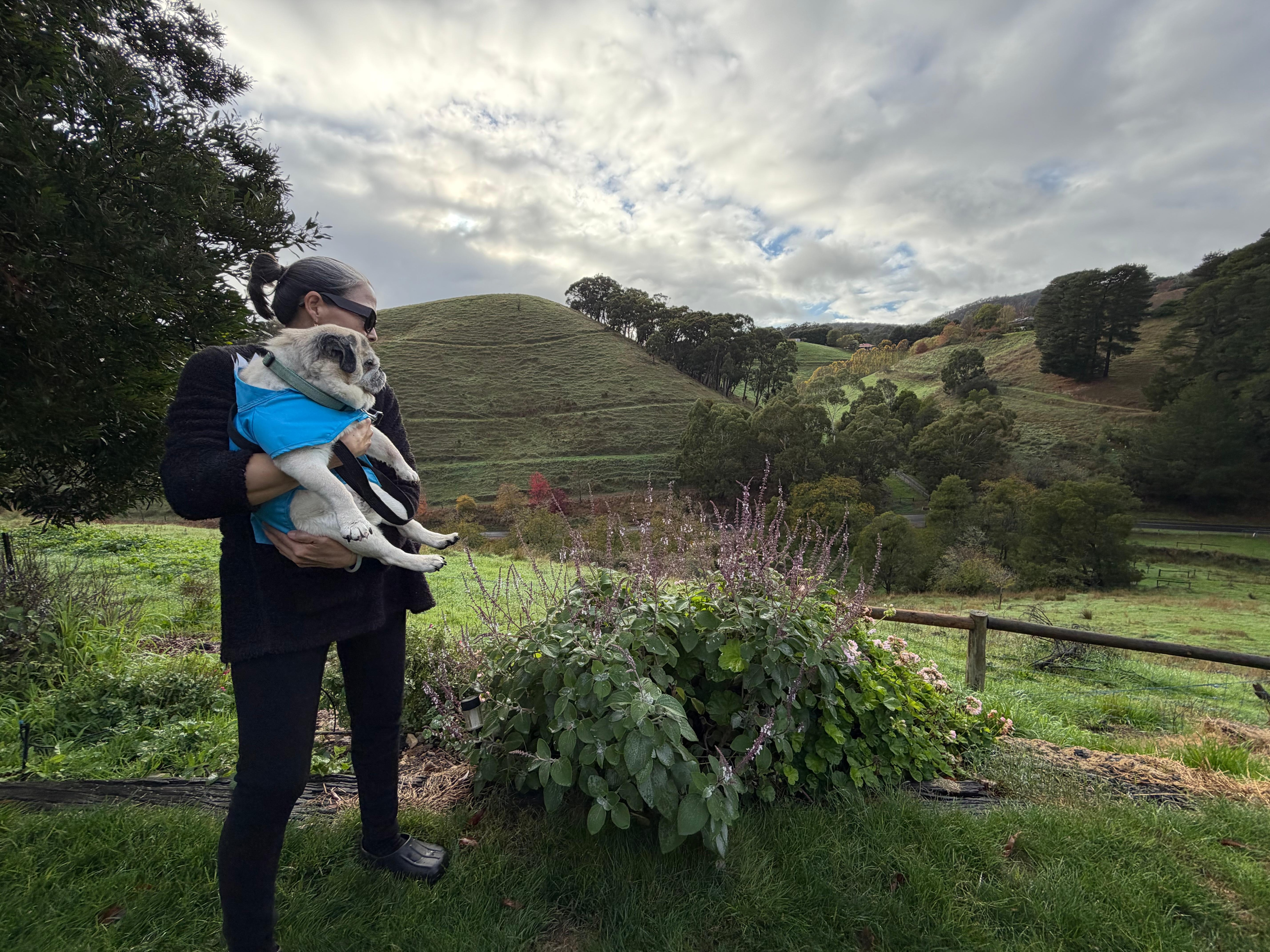 How precious it is to be able to bring your beloved dog with you. 💕