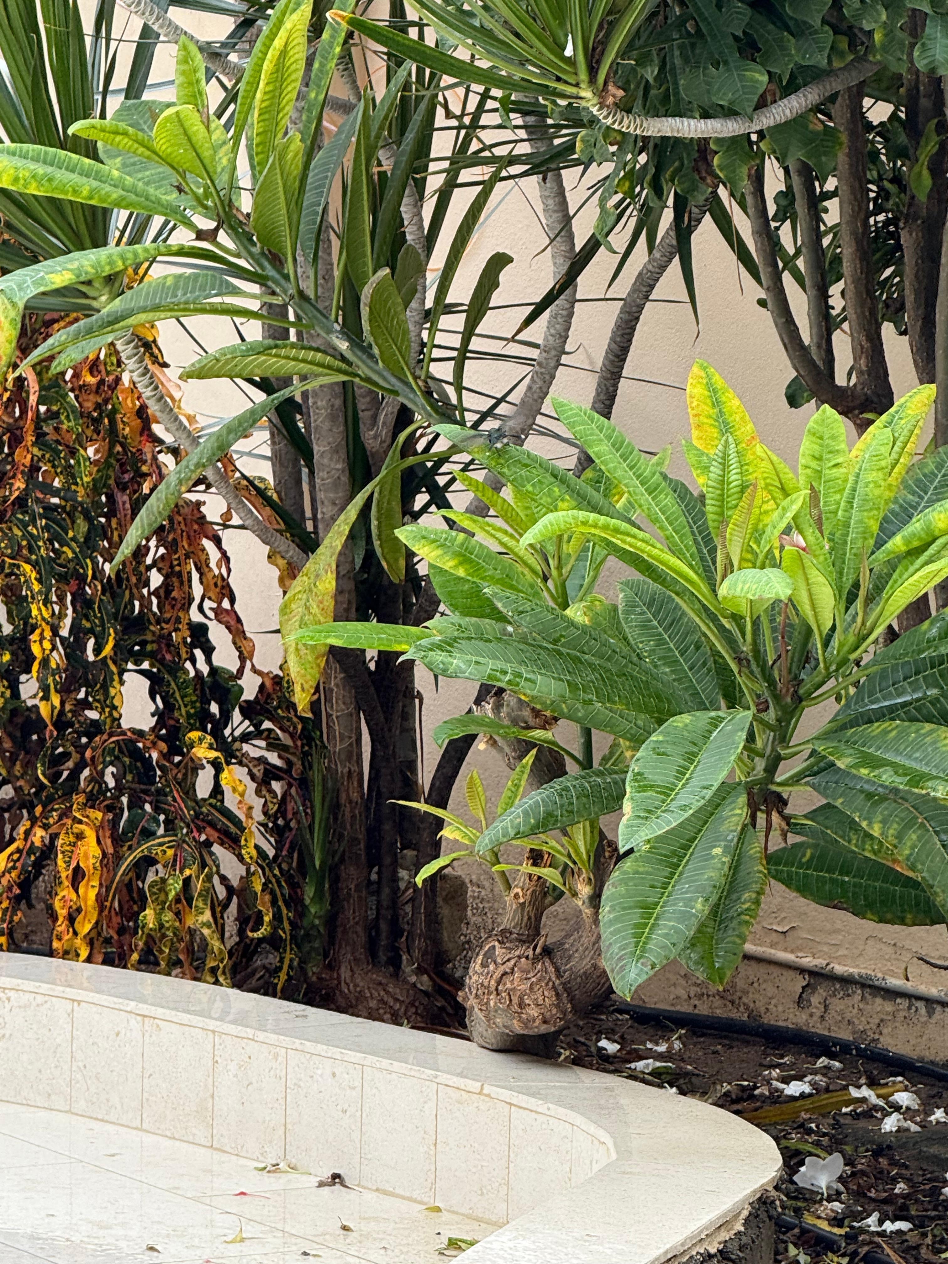 Lots of beautiful plants and wild life