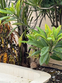 Lots of beautiful plants and wild life