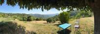 Vue sous lâarbre