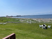 Driftwood on the beach.