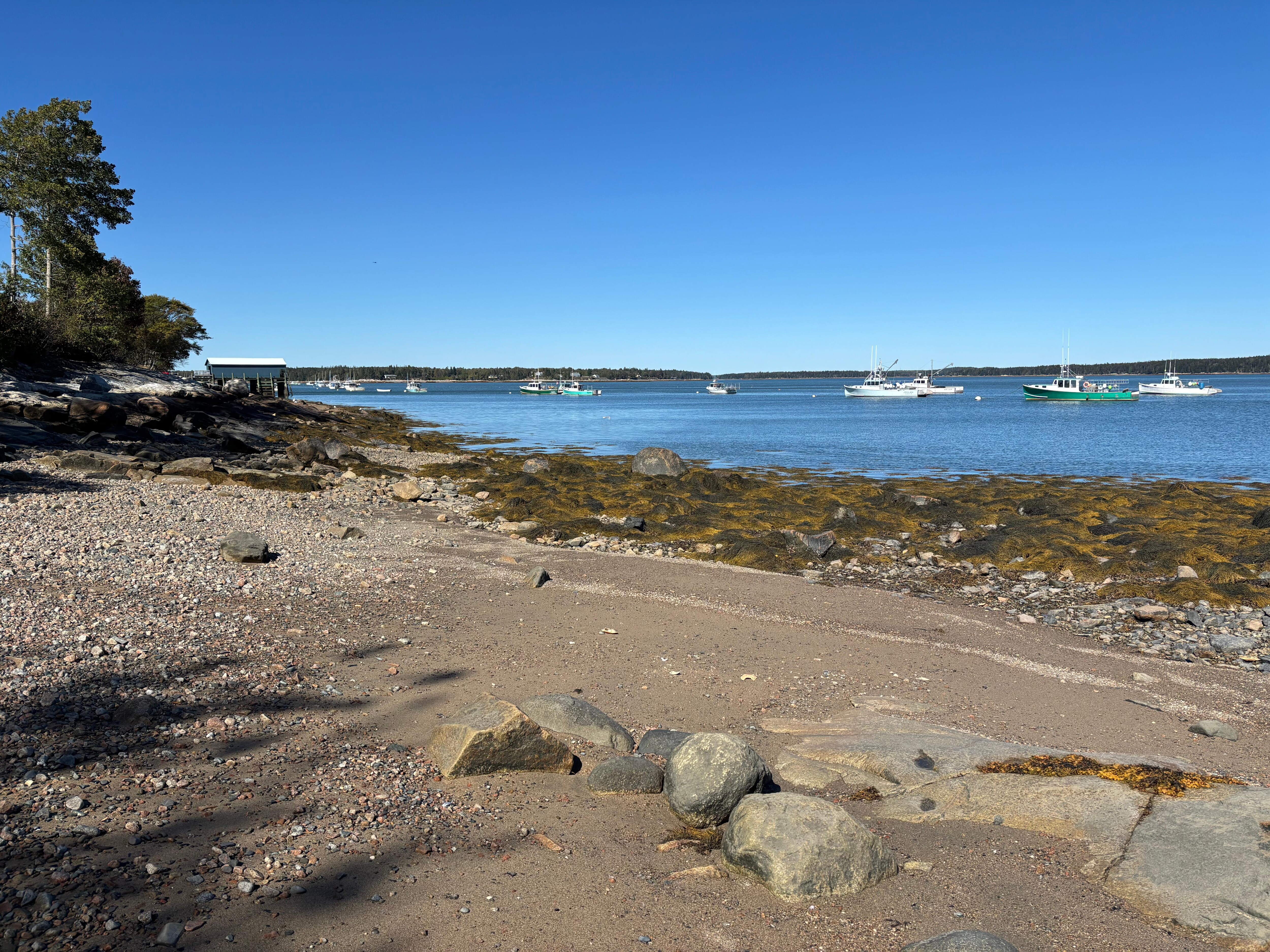 A little of the beach down the stairs at the back of the yard. 