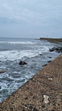 From the harbour