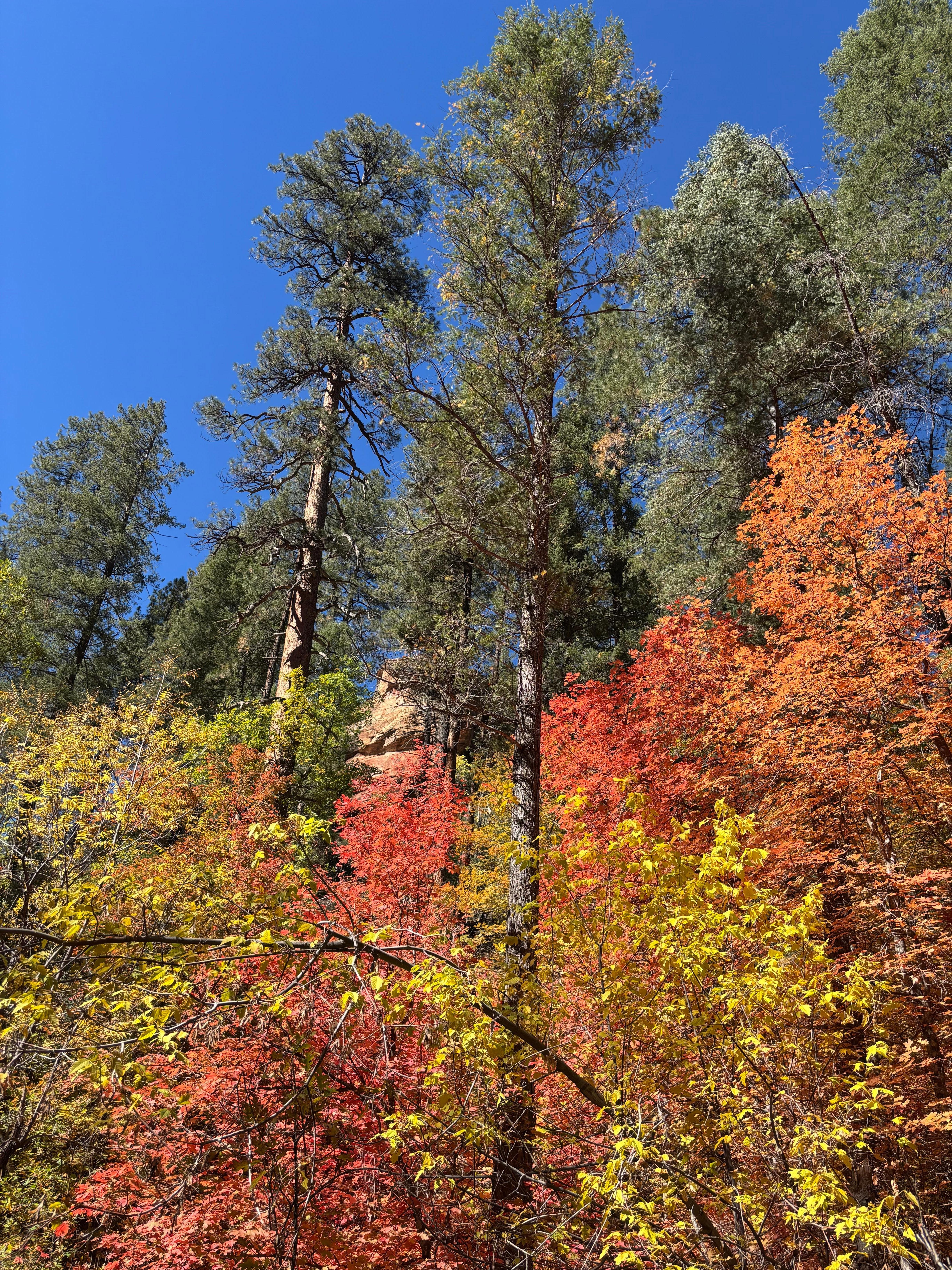 Nearby hiking trails