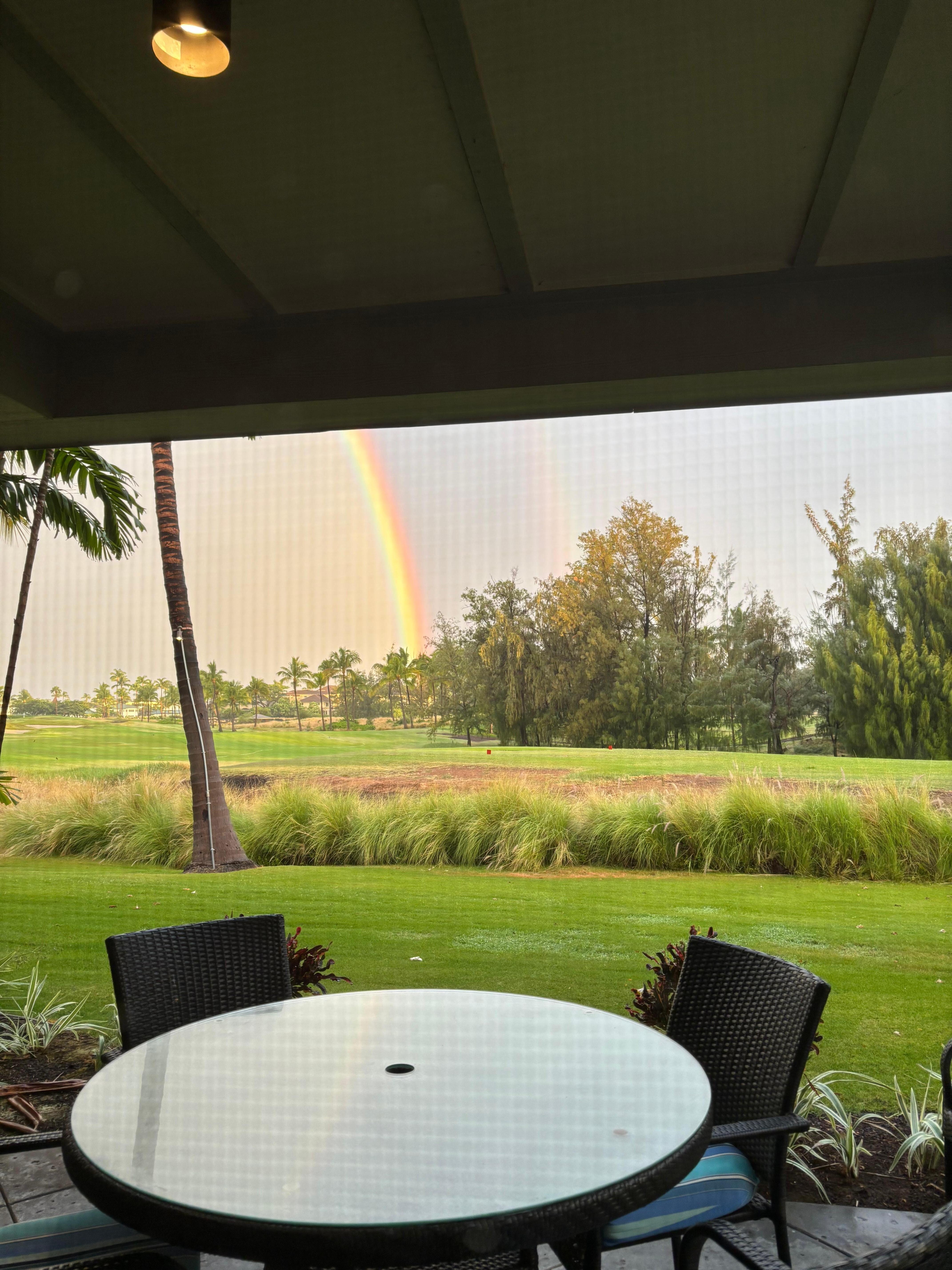 View from inside the living area of the lanai