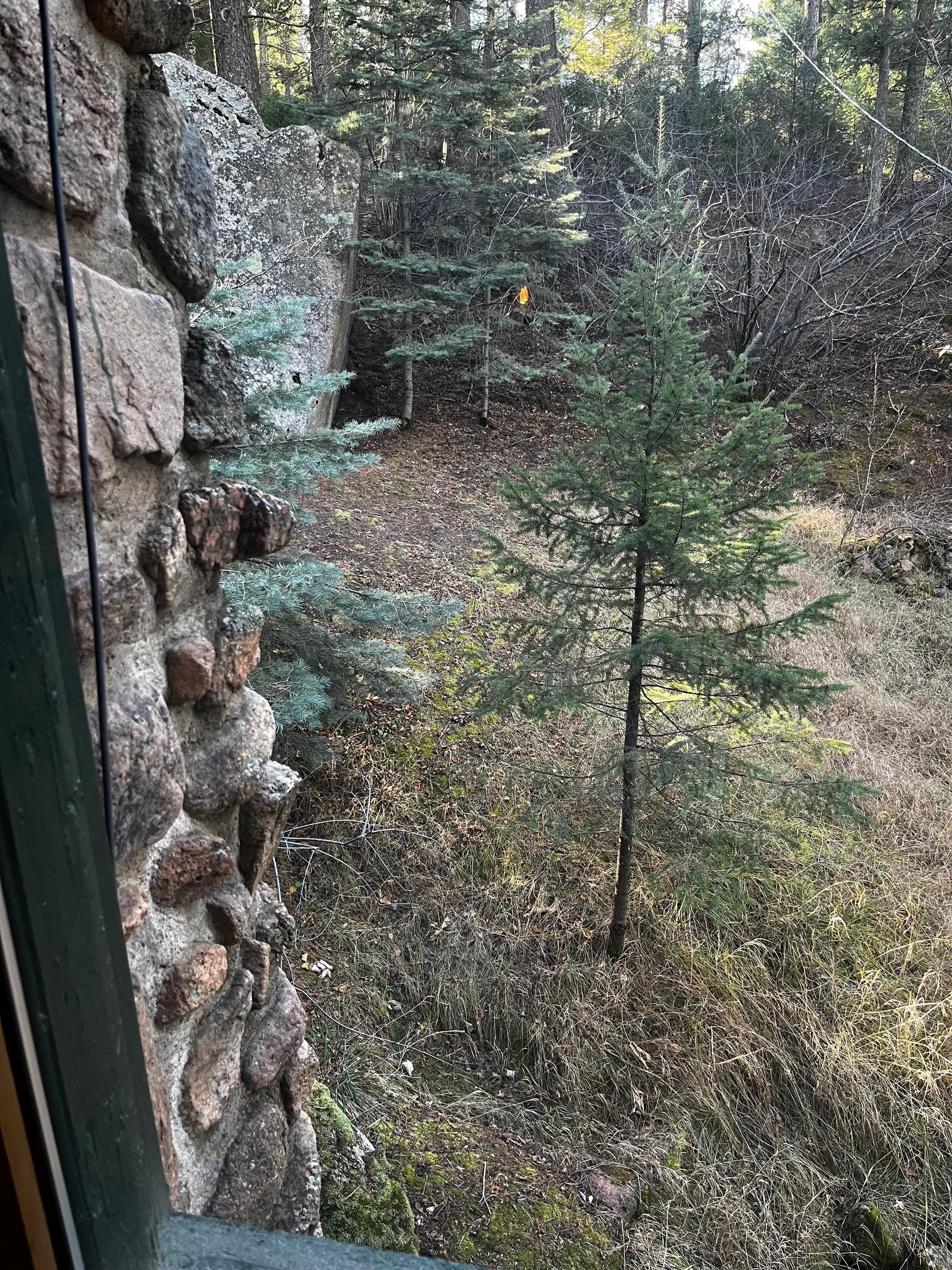 View from master bedroom 