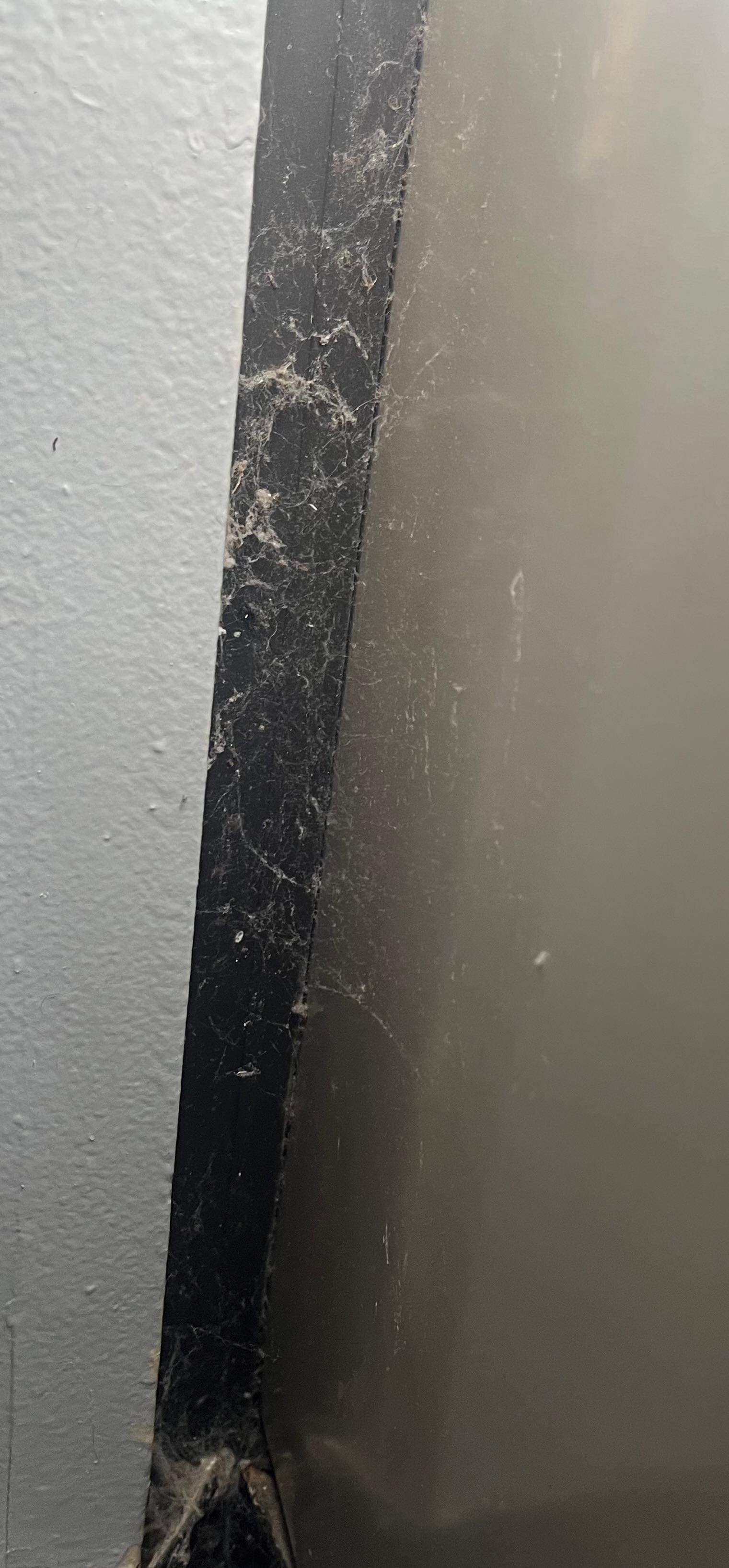 Cobwebs in the corner of room