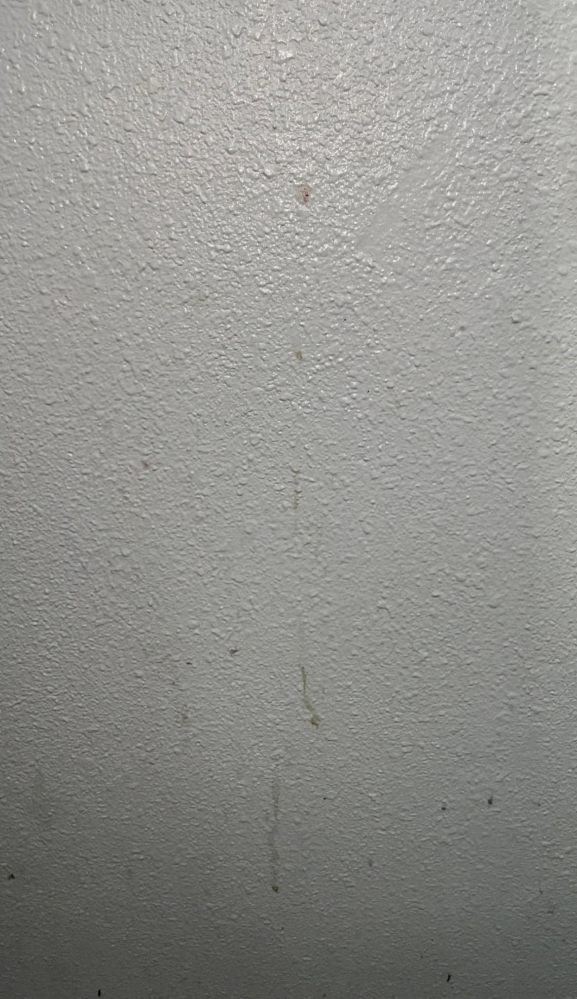 Gunk on bathroom walls