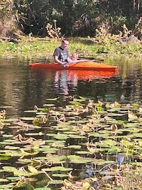 Pond... never saw the gator, just Turtles.:)