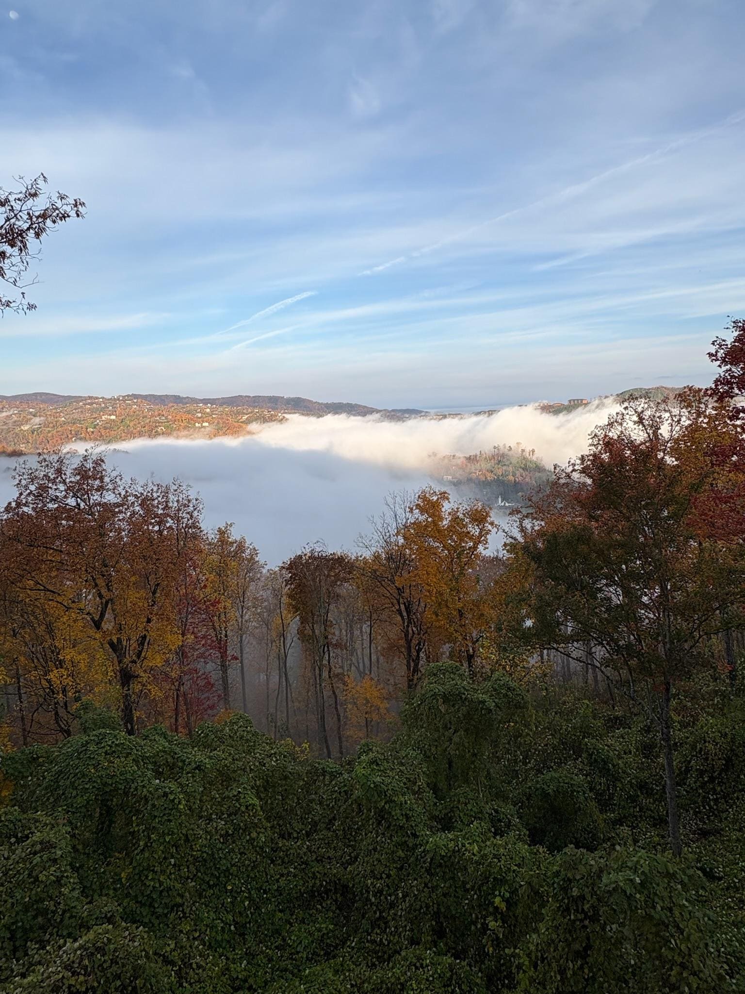View from the back patio on a foggy morning.