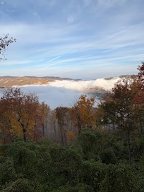 View from the back patio on a foggy morning.