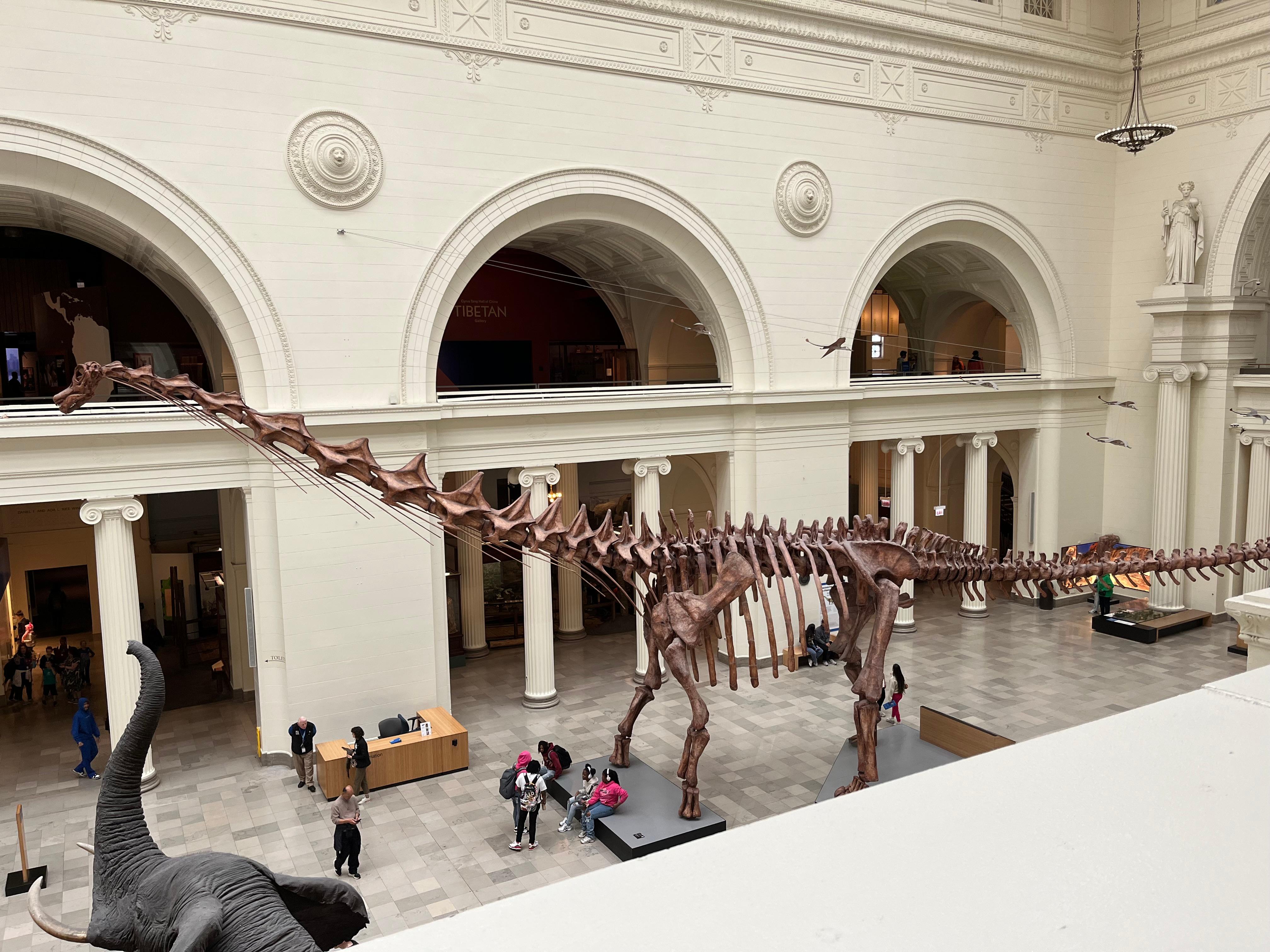 The Field Museum