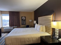 Comfy bed