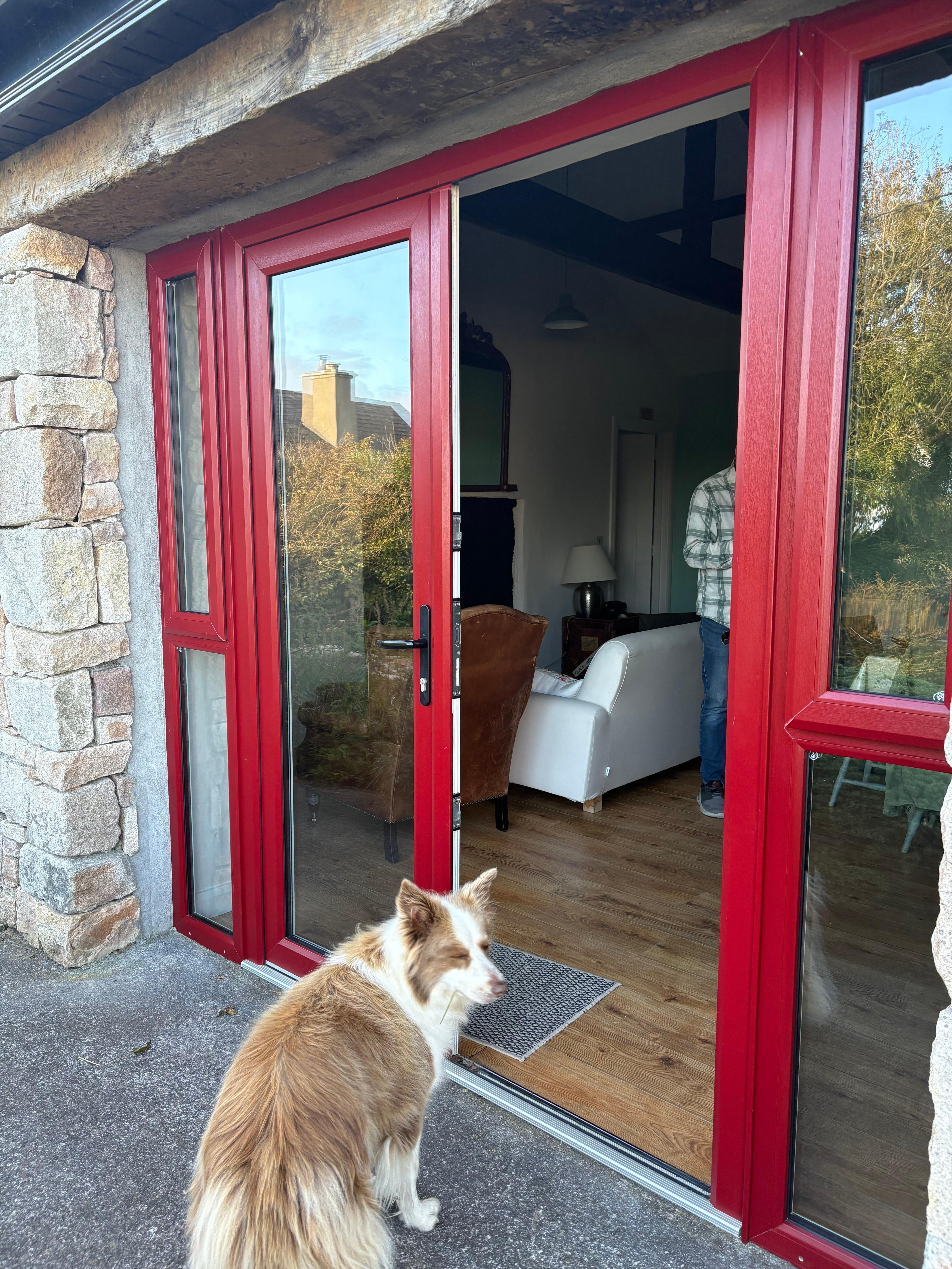 Our cottage with Riley. 