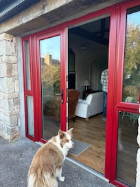 Our cottage with Riley.