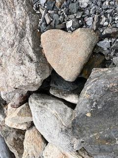 A heart found along the scenic route - No Coincidences