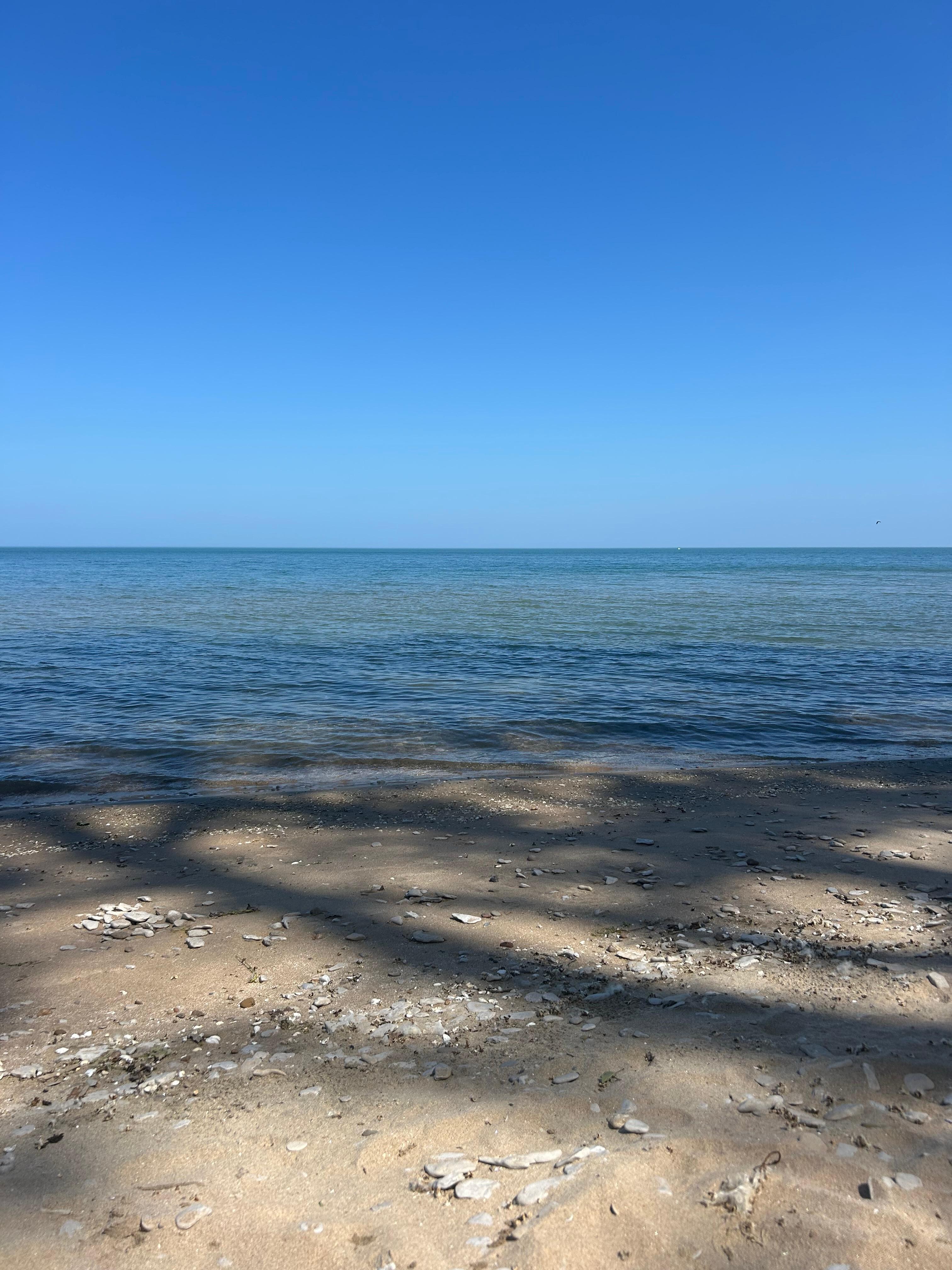 Sandy beach and clear blue water. 