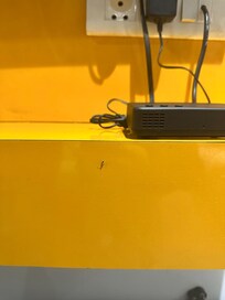 Cockroach near the TV