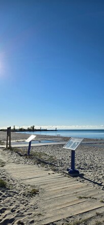 Wellington Beach