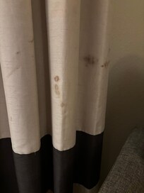 Looks like blood stains on the curtains. Not good.