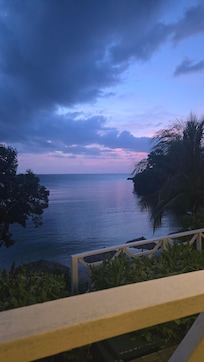 View from the room