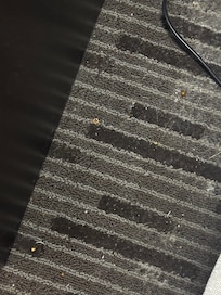 carpet not vacuum