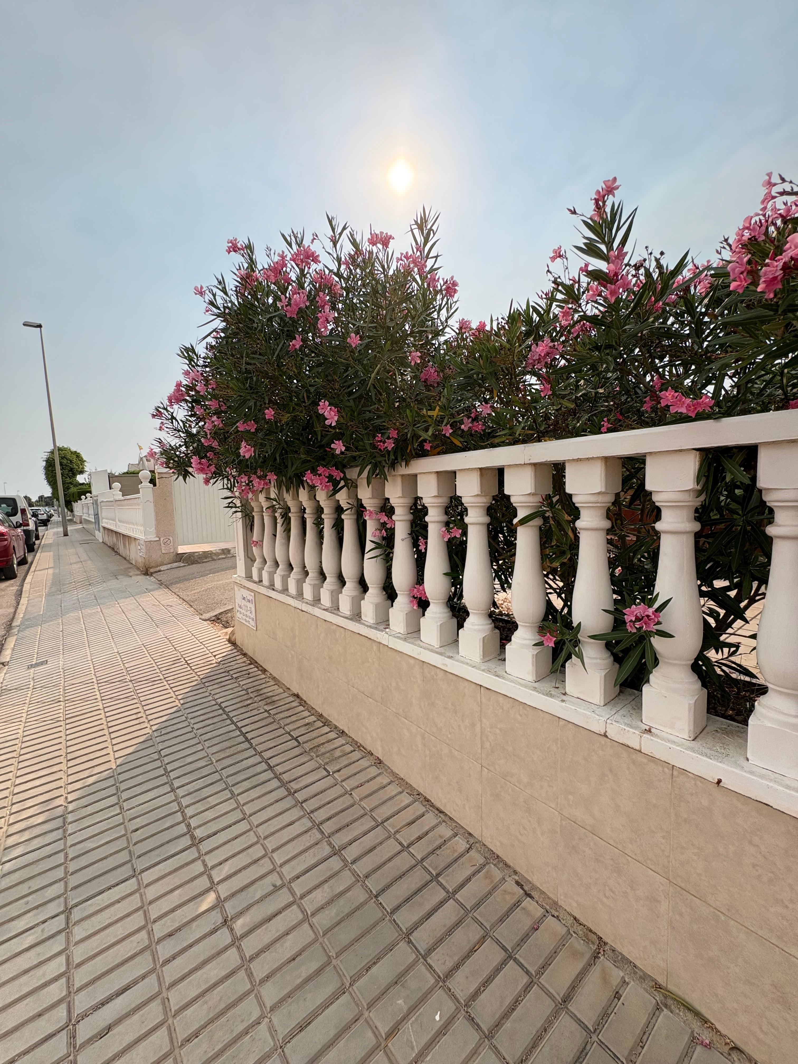 Road leading up to property 