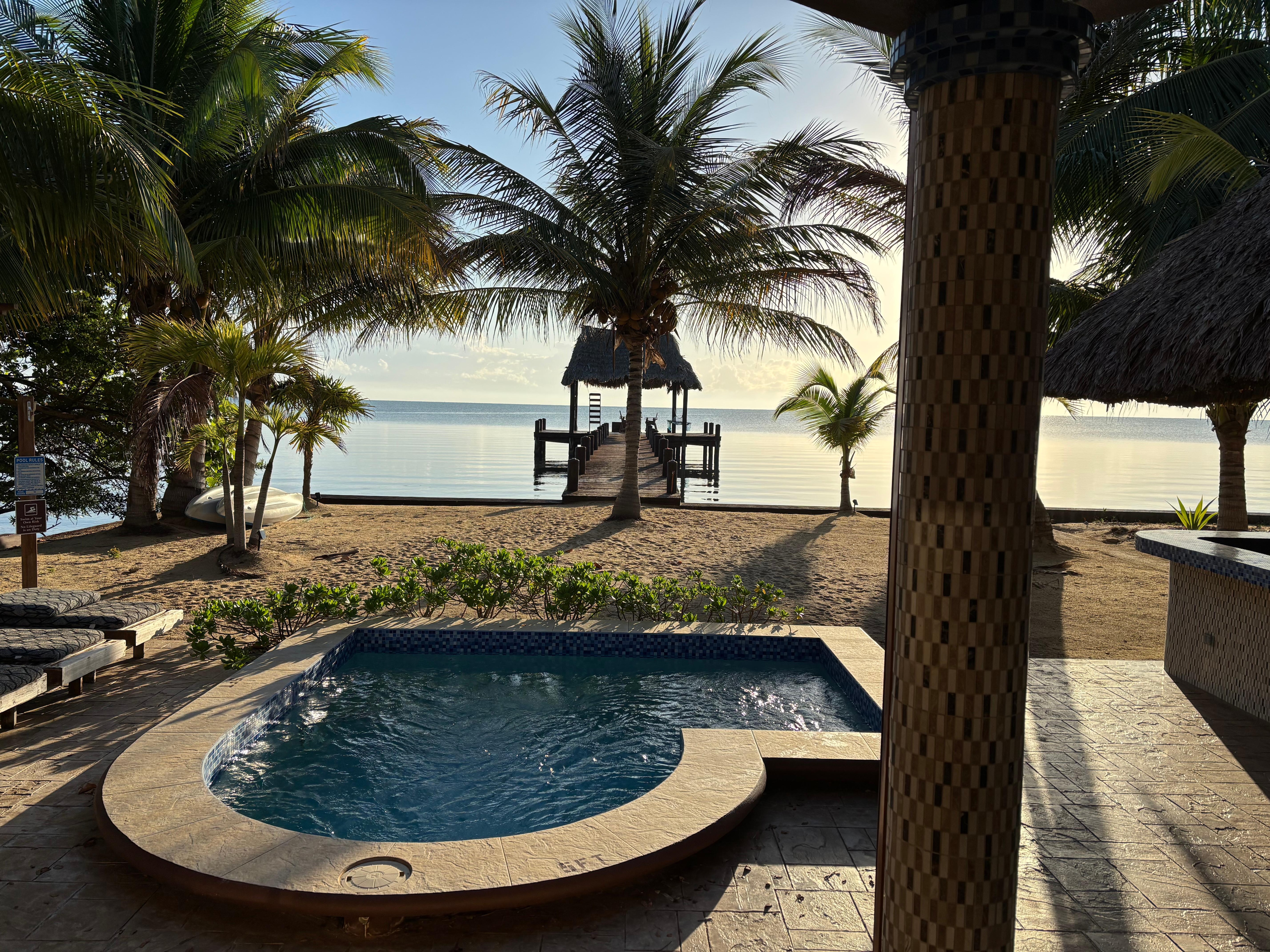 Morning from the patio. 