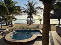 Morning from the patio.