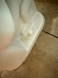 Pee