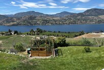 View from the patio.