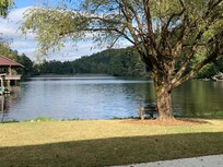 Vogel State Park