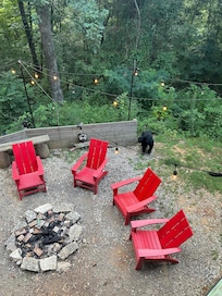 Had a Beary good time !