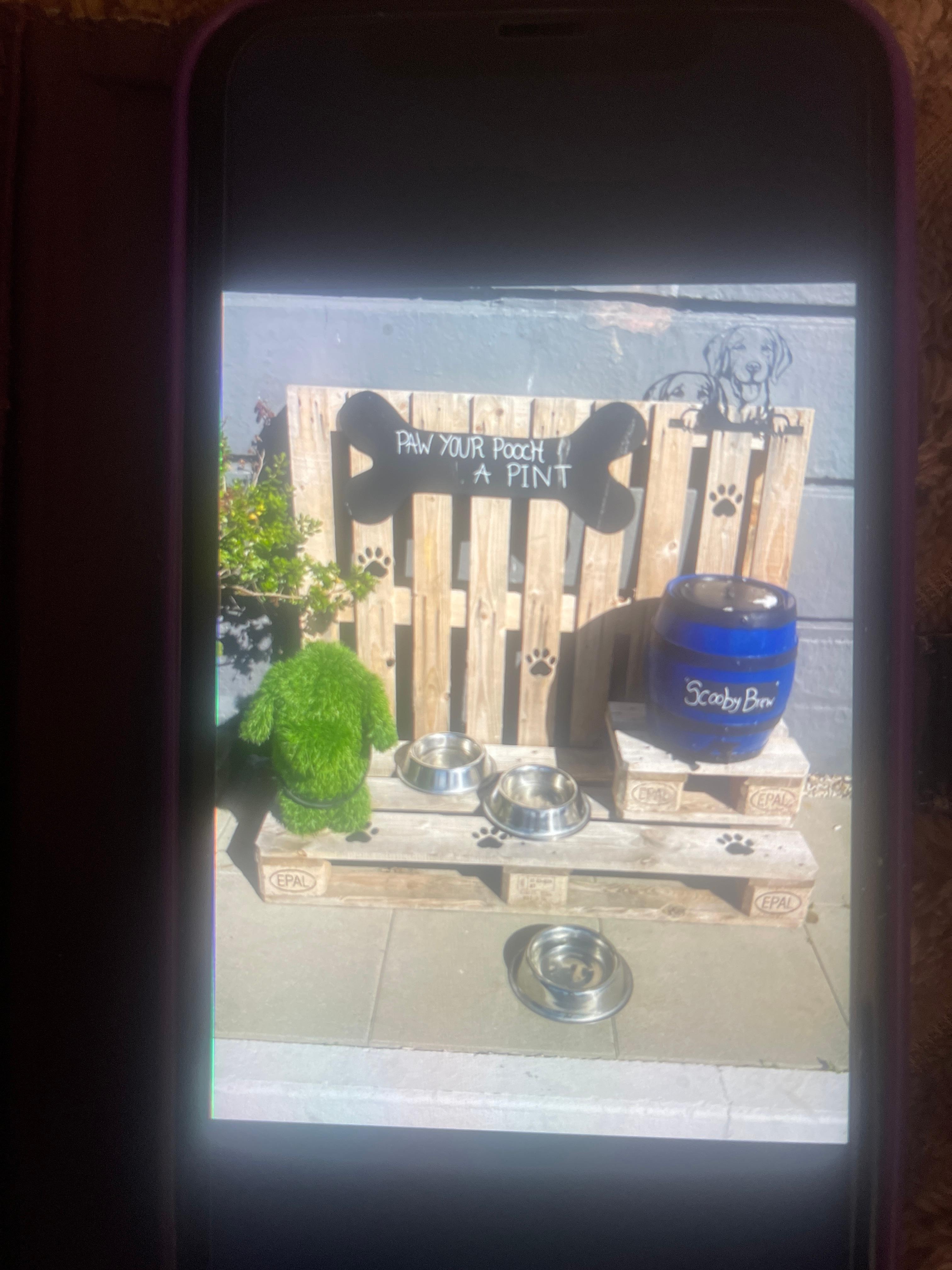 Outside for dogs that stay at hotel