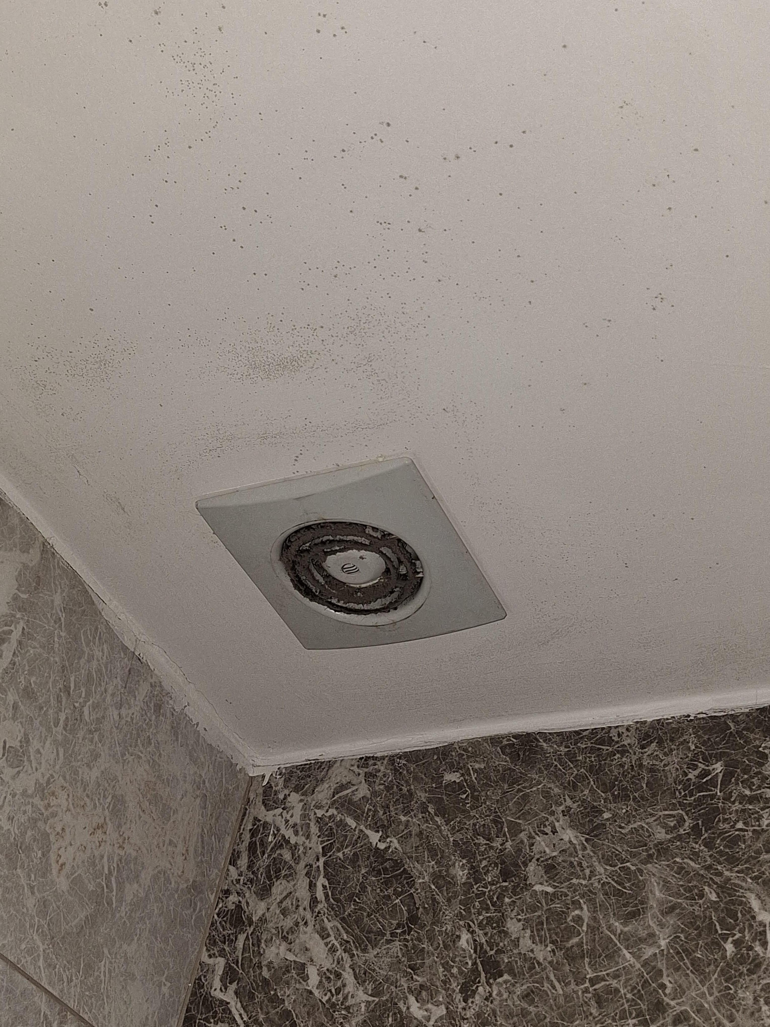 Bathroom fan