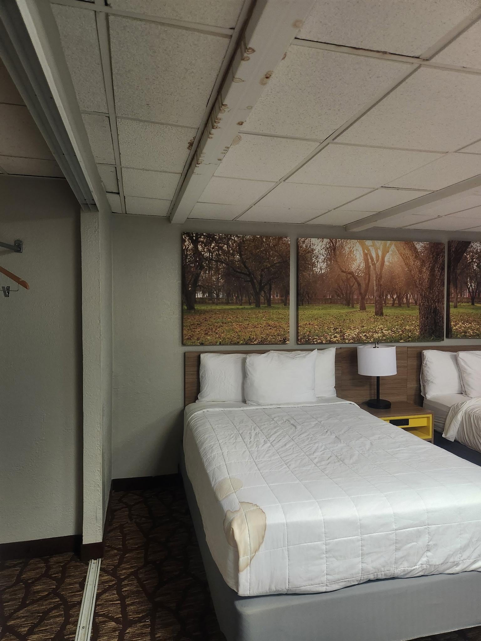 Active ceiling leak and stained bedding….