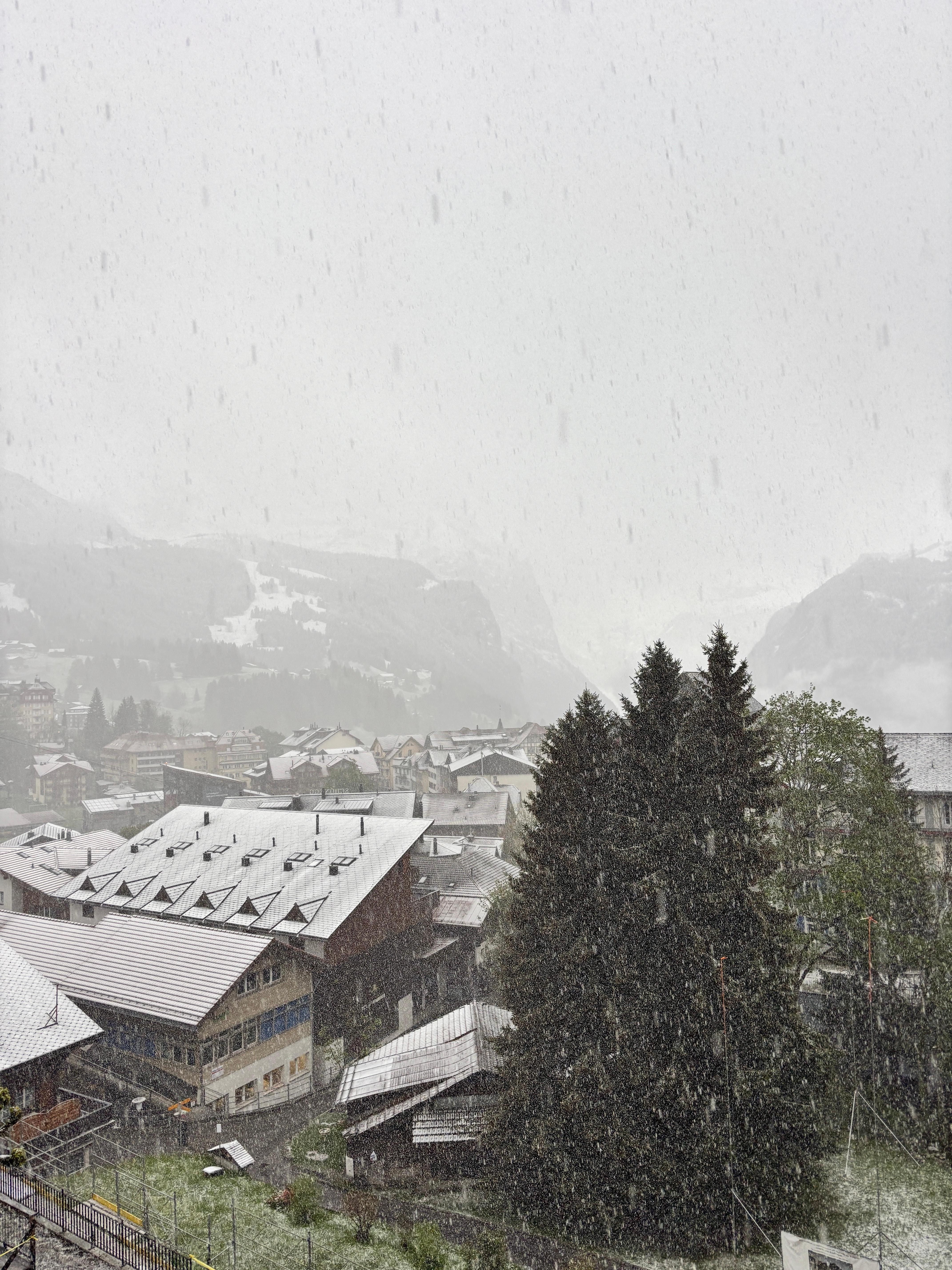 View from the balcony on snowy morning