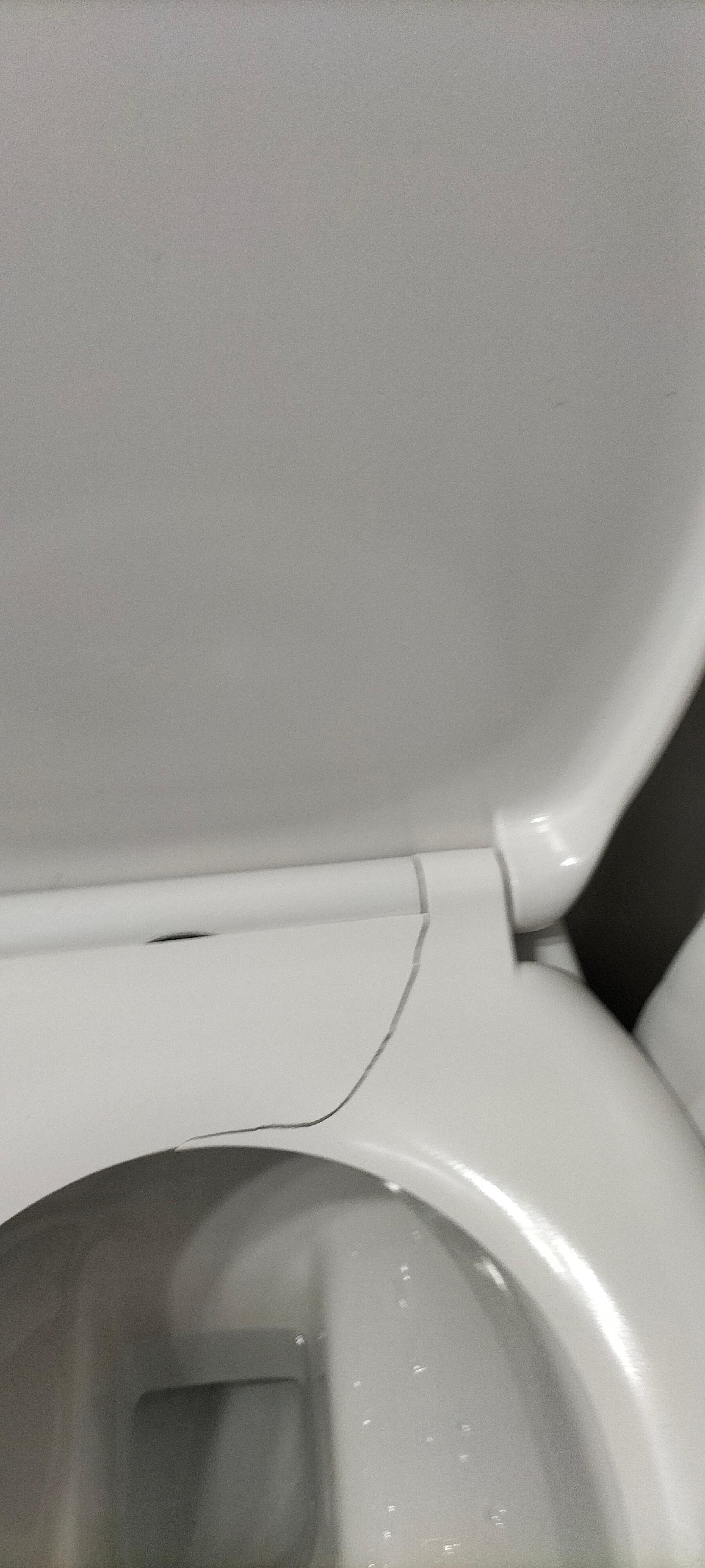 Lunettes des toilettes cassée