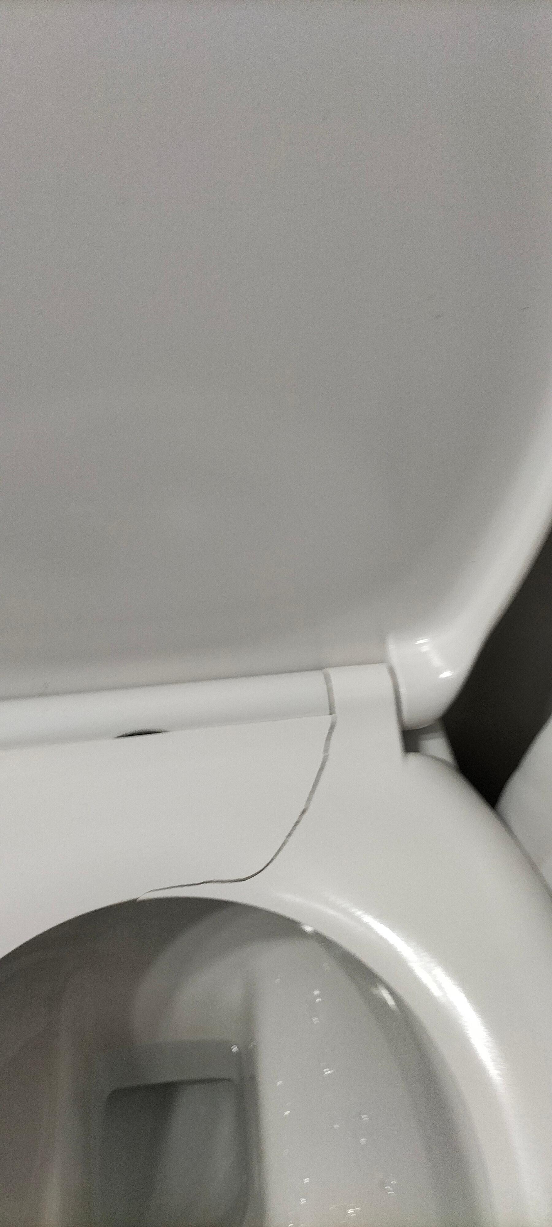 Lunettes des toilettes cassée 