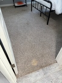 more stains