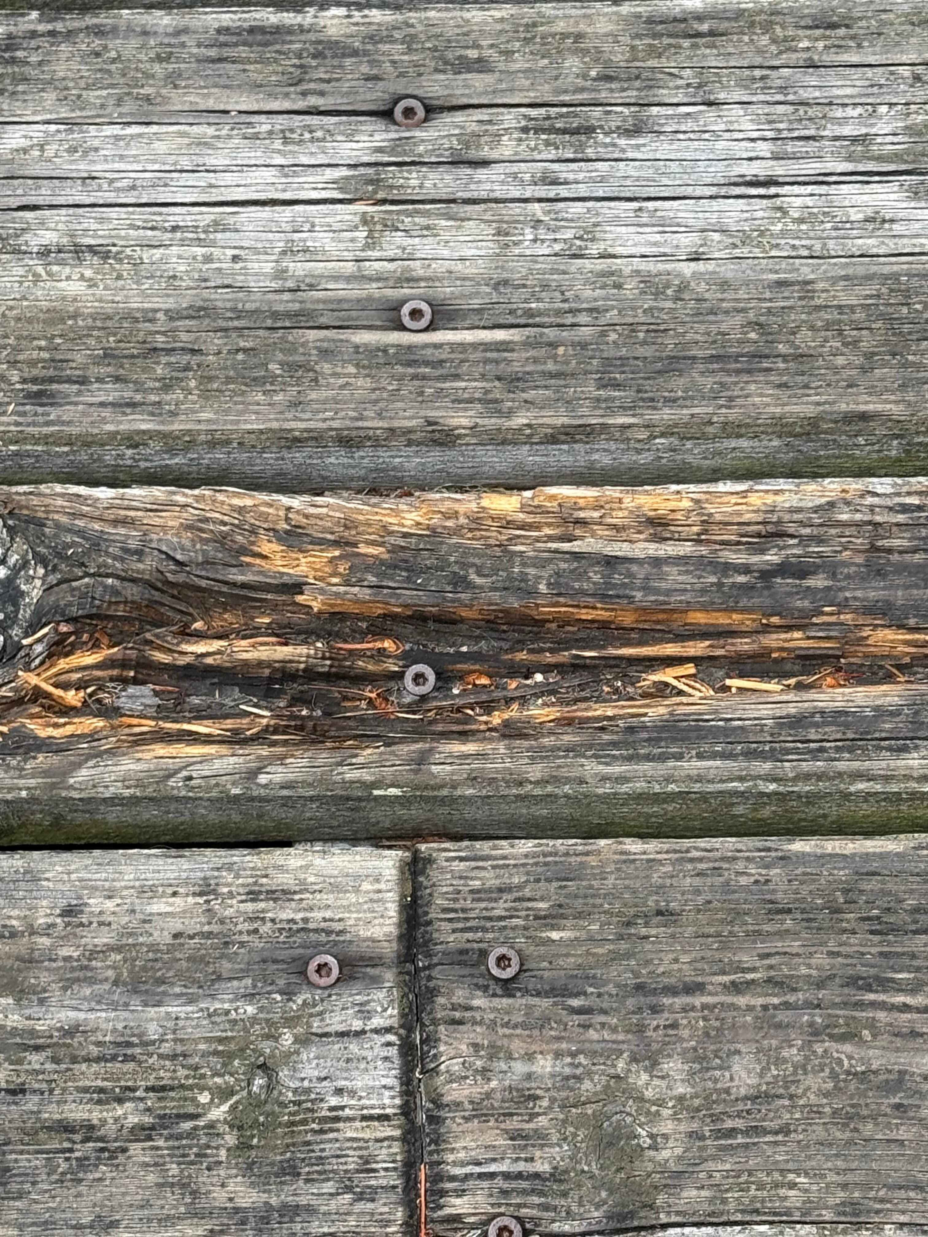 Example of nail sticking up. 